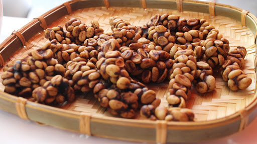 Cà phê chồn được sản xuất từ phân loài chồn ăn quả cà phê