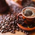 Hạt cà phê chồn thường giòn và cứng hơn cà phê khác